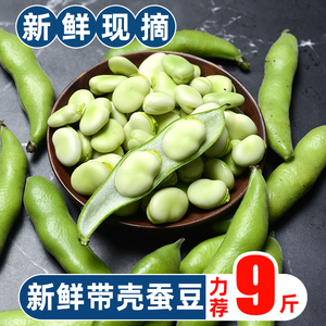 新鲜现摘蚕豆带壳胡豆农家自种当季蔬菜嫩生罗汉豆米带皮青豆9斤