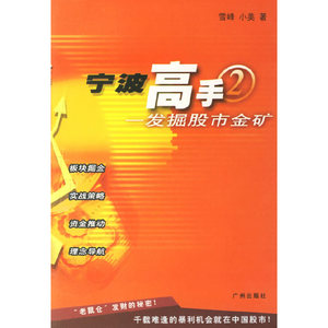 正版九成新图书|宁波高手(2)——发掘股市金矿雪峰，小美　著广州