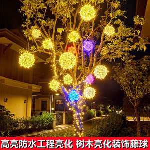藤球灯彩球灯发光灯球挂在树上的装饰灯彩灯户外景观亮化灯树挂灯