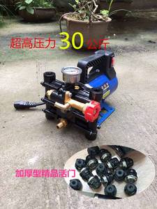 农用12V24V48V60V220伏双缸高压柱塞泵电动水泵打药消毒喷雾直