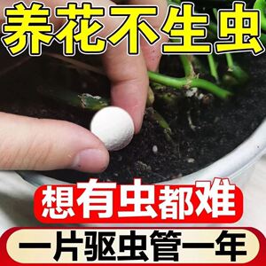 花盆防虫颗粒剂 家庭园艺防虫片 花卉 专用药 菜地驱虫蔬菜防虫片