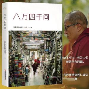 正版现货 八万四千问 宗萨蒋扬钦哲仁波切正见 佛法能够解决问题