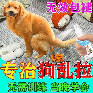 【当晚学会】狗狗厕所定点排便诱导剂狗大小便定位拉屎拉尿训练