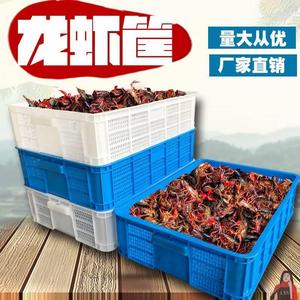 小龙虾筐子加厚装小龙虾塑料筐虾苗运输筐蘑菇框水产专用平菇香菇