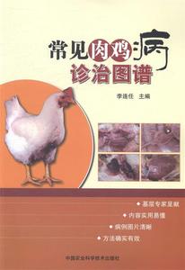 正版图书 常见肉鸡病诊治图谱 9787511613356 李连任 编 中国农业