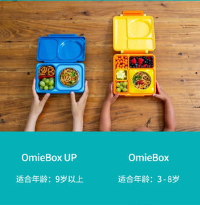 代宝2儿童饭盒宝便携二分格盘学生OMIE成人午保温餐盒