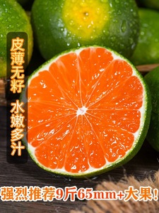 宜昌橘子新鲜9斤蜜橘子整箱新鲜水果孕妇蜜桔子青当季柑橘包邮10