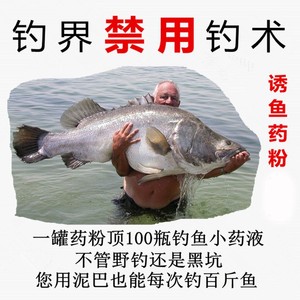 日本钓鱼小药野钓黑坑鱼饵料鲫鲤鱼草鱼开口千里香果酸麝香诱鱼剂