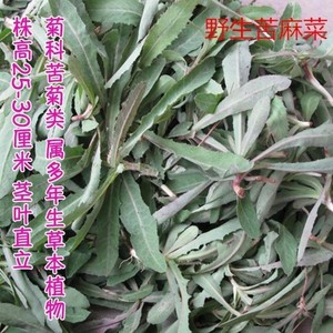 天然营养野生苦麻菜种子曲麻菜苣荬菜侵麻菜青麻菜野菜种子野菜籽