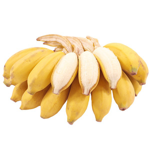 现摘现发佳农自然熟小黄香蕉新鲜2023广西正宗薄皮小米蕉皇帝蕉