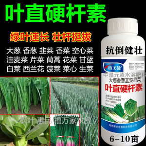 大葱香菜香葱叶直硬杆素 韭菜芹菜白菜菠菜叶面肥抗倒剂控旺增产