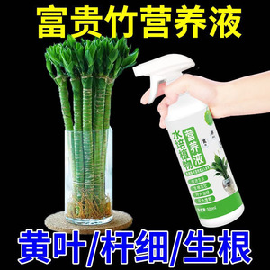 浇花用的营养液富贵竹营养液盆栽植物转运竹观音竹富贵植物活力素
