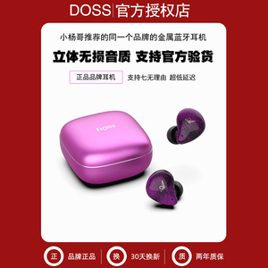 DOSS/德士 T60真无线蓝牙耳机小杨哥推荐同款双入耳式金属耳塞