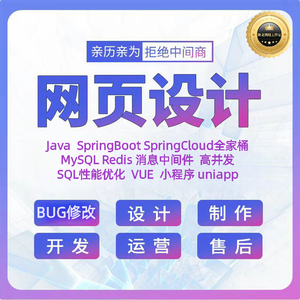 java代码编写项目调试bug修改vue二次开发服务器搭建环境安装配置