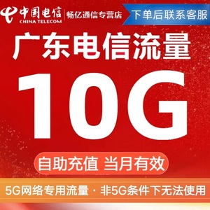 广东电信流量5G网络专用流量包10GB全国通用流量叠加包当月有效