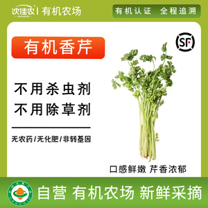 沈佳农 有机香芹芹菜农家新鲜蔬菜认证绿色配送叶菜绿叶菜250g