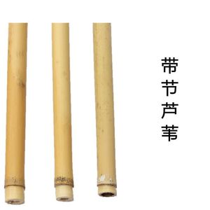 安徽芦苇管子哨片制作管子哨子加工原料材料苇子芦苇杆芦苇管苇草