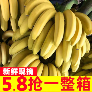 云南高山香蕉新鲜水果当季自然熟10斤大芭蕉小米蕉甜香蕉整箱批发