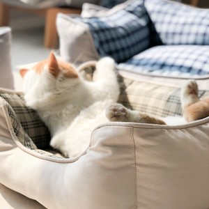 猫窝幼猫四季通用可爱便宜大号狗窝垫子狗床中型犬猫咪睡觉的可爱