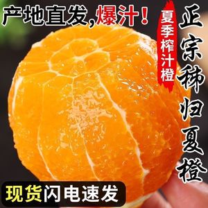江西赣南脐橙新鲜水果橙子10斤赣州产地直发正宗当季整箱冰糖甜橙