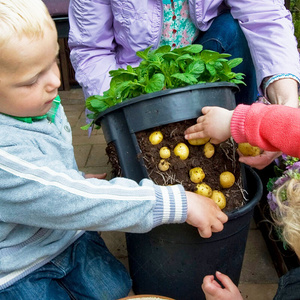 种土豆专用种植盆家庭阳台盆栽蔬菜花生种菜神器桶苗家用袋种籽孑