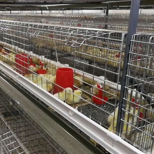 养殖厂专用鸡场雏鸡调节板挡板隔板鸡笼食槽调节板笼挡板厂家直销