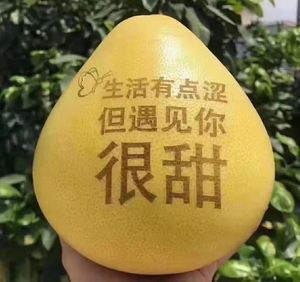 柚子苹果椰子鸡蛋个性激光打标打码镭射机 水果表皮雕刻机