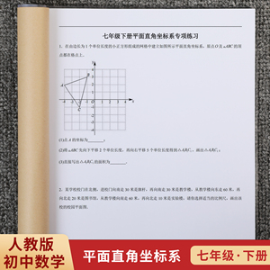 人教版初中数学七年级下册平面直角坐标系专项训练习本附详细解析