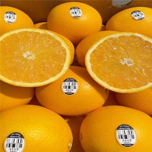 2024现货美橙黑标3107脐橙子5斤新鲜当季水果大果新奇士甜橙