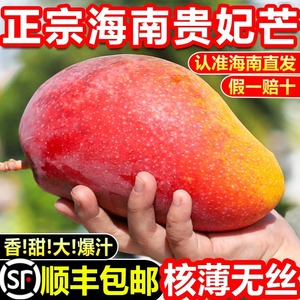海南贵妃芒芒果新鲜树上熟10斤当季水果特大果红金龙辣椒芒包邮