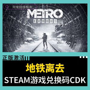Steam正版 地铁离去Metro Exodus 全球区CDKEY激活  全DLC