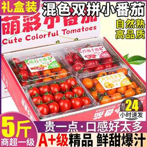 礼盒装 自然熟5斤双拼千禧圣女果黄金小番茄新鲜水果当季整箱包邮