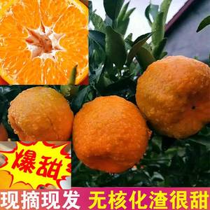 椪柑四川乐山水果新鲜蜜橘现摘农家自种碰柑芦柑甜桔子大果丑柑橘