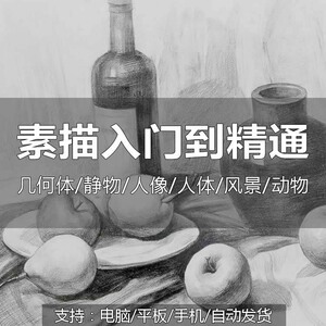 素描课程零基础学画画美术网络电子教学视频教程绘画素描网课全套