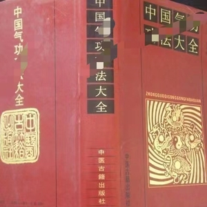 中国气功功法大全 16大开 楼羽刚著 绝版气功 中医古籍出版1993