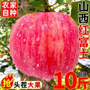 山西红富士苹果水果新鲜当季整箱10斤应季冰糖平丑萍果脆甜心包邮