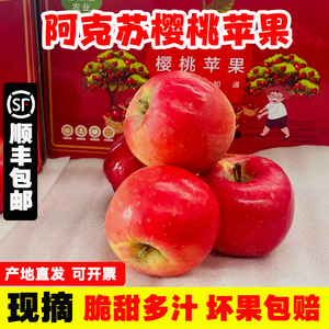 新疆阿克苏当季新鲜超脆甜精品樱桃小苹果百果礼盒  顺丰包邮