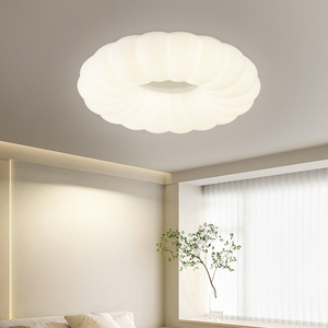 五光十色客厅灯现代简约LED吸顶灯吊灯卧室书房餐厅家用灯具