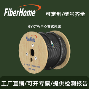 烽火铠装室外单模中芯管式光缆4/6/8/12芯电信光纤线皮线缆GYXTW