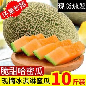 海南哈密瓜10斤当季新鲜水果一整箱网纹甜瓜孕妇西州蜜瓜香瓜