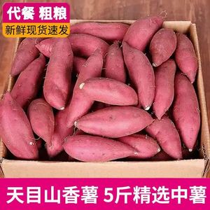 新鲜临安天目山小香薯5斤正宗红薯板栗薯黄心迷你地瓜蜜山芋蕃薯2