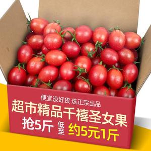 圣女果千禧小番茄新鲜樱桃小西红柿蔬菜孕妇水果现摘现发5斤包邮