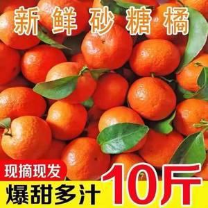 【爆甜爆汁】金秋砂糖橘当季新鲜水果沙糖桔子薄皮蜜橘整箱5/9斤