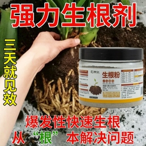 快速生根粉植物通用生根剂扦插用树木强力生根粉发根剂液养花土壤