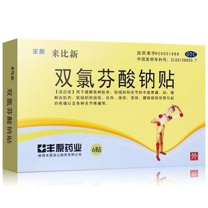 同仁堂 来比新 双氯芬酸钠贴 50mg*5cm*10cm*6贴