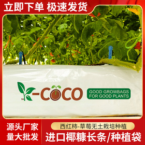 进口无土栽培蔬菜番茄西红柿椰糠基质种植有机立体栽培条袋营养土