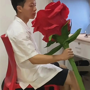 单只单支抖音巨型特大红玫瑰花朵拍照超级大仿真人造假花恶搞花束
