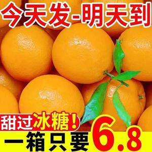 正宗湖南麻阳冰糖橙新鲜水果当季整箱橙子手剥冰糖甜橙夏橙包邮