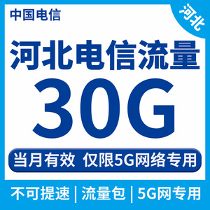 河北电信流量包30G 电信手机充值仅限5G网络专用流量包当月有效