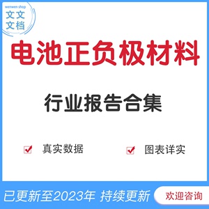 2023年中国锂电池正负极材料行业研究报告中科电气投资价值分析